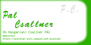 pal csallner business card